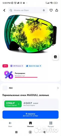 Очки горнолыжные \ Маска лыжная \ Лыжная маска