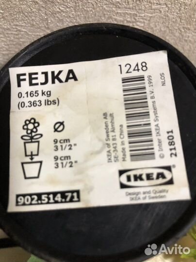 Фиалка искусственная, Икея