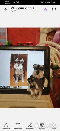 Брелок или подвеска в машину на заказ