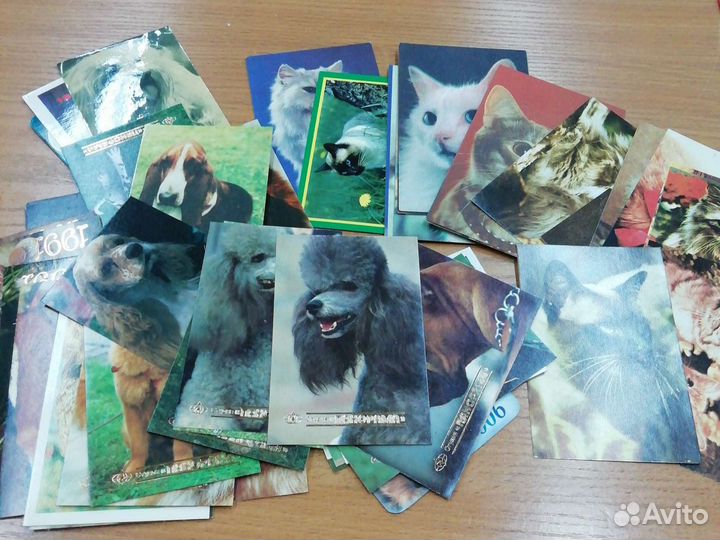 Календарики собаки, кошки
