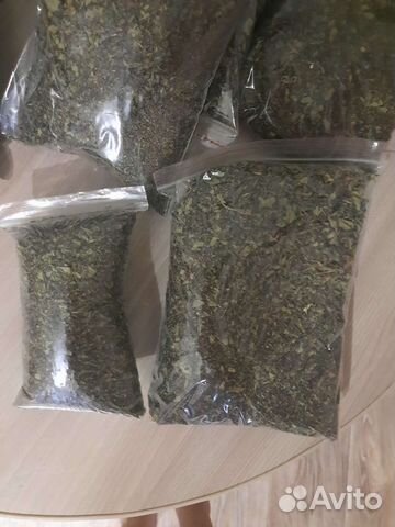 Мята перечная