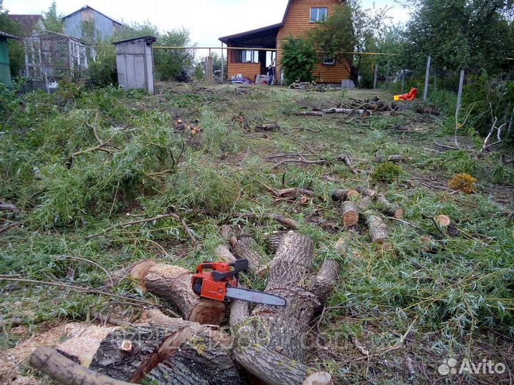 Расчистка участка в Павловском посаде