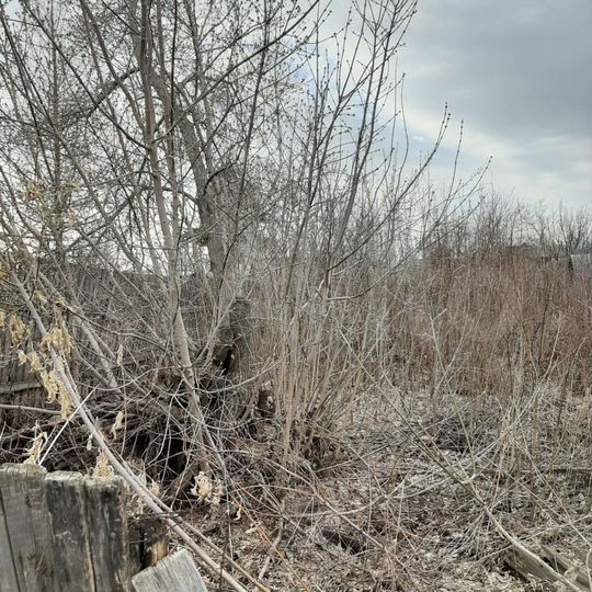 Участок 4,62 га (СНТ, ДНП)