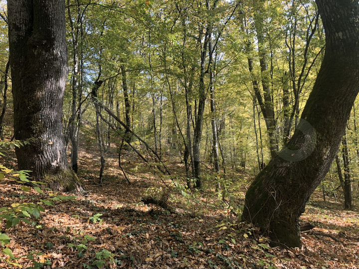 Дача 80 м² на участке 5 сот.