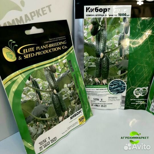 Огурцы Киборг