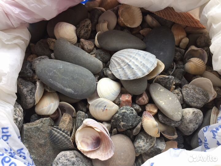 Наполнение для террариума