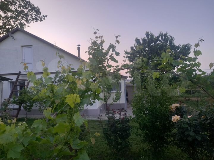 Дом 81 м² на участке 14 сот.