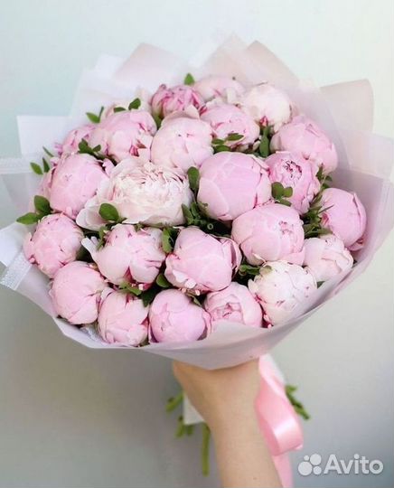 Пионы Букет пионов