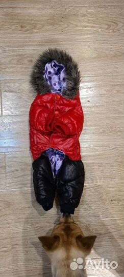 Зимний комбинезон для маленьких собак