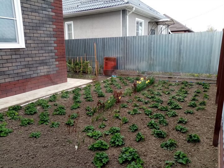 Дом 119,8 м² на участке 3,2 сот.