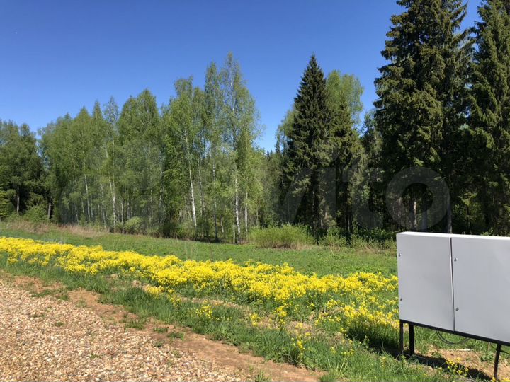 Участок 10 сот. (СНТ, ДНП)