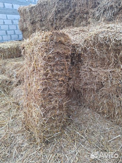 Солома ячменная в тюках