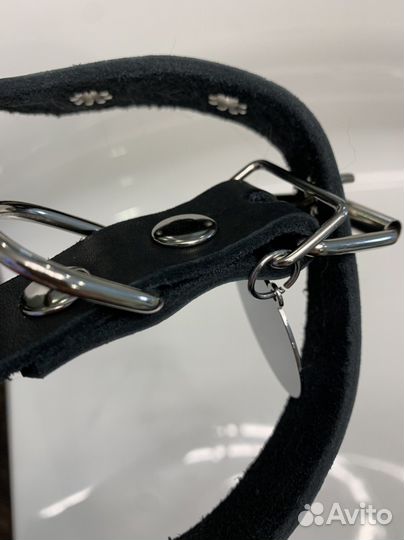 Ошейник для собак