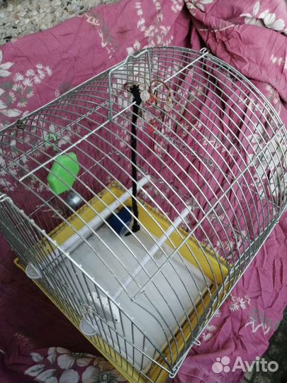 Клетка для попугая
