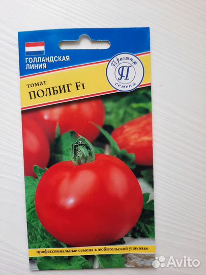 Рассада помидоров огурцов перцев