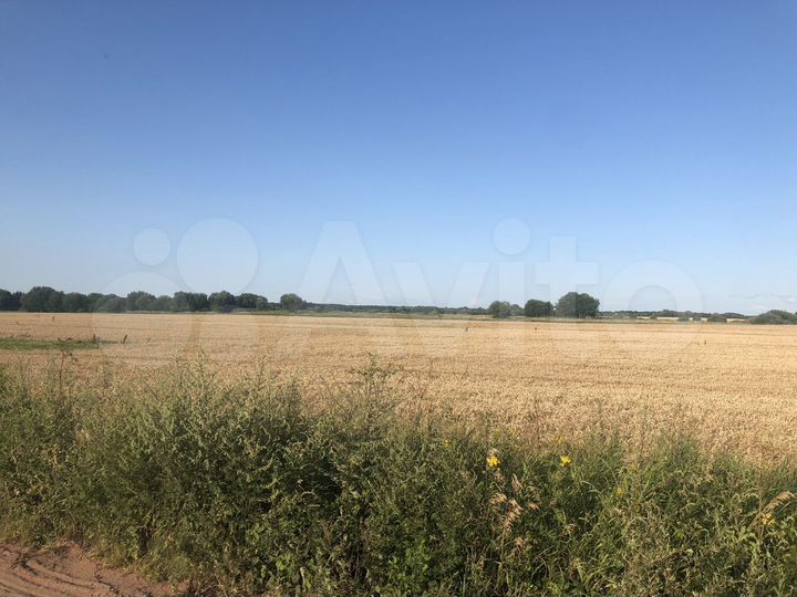 Участок 38,4 га (ИЖС)