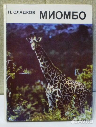 Детям о животных и птицах