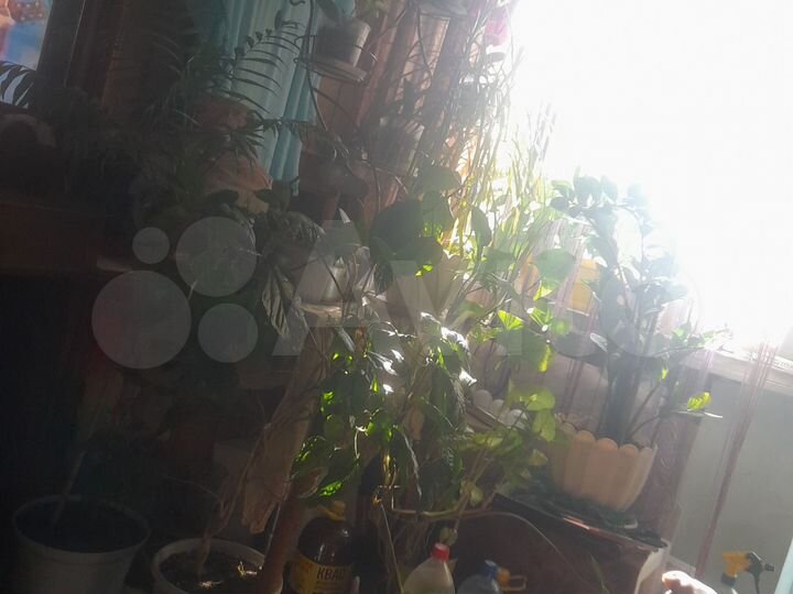 Комната 17,8 м² в 1-к., 4/9 эт.