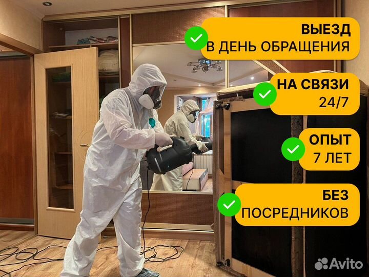 Уничтожение клопов, тараканов, крыс. Дезинфекция