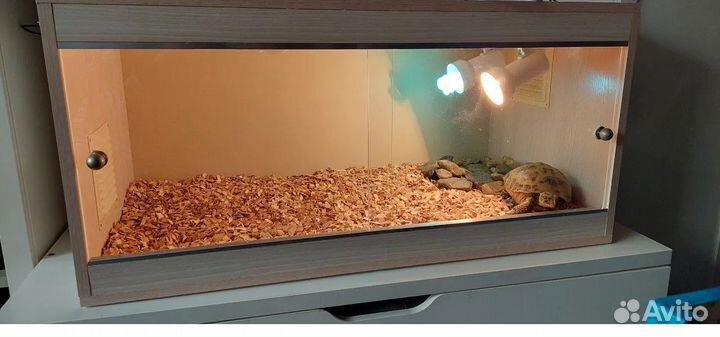 Террариум Стеллаж Витрина Террариумная стойка