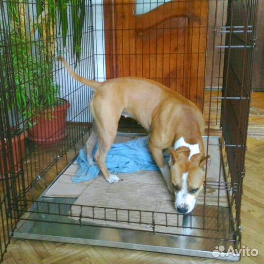 Клетка для домашних питомцев