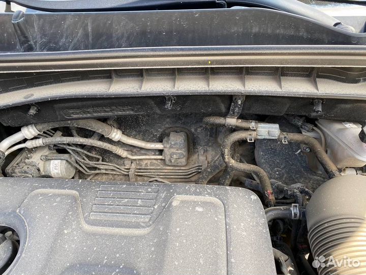 Kia Sportage 2.0 AT, 2021, 19 100 км