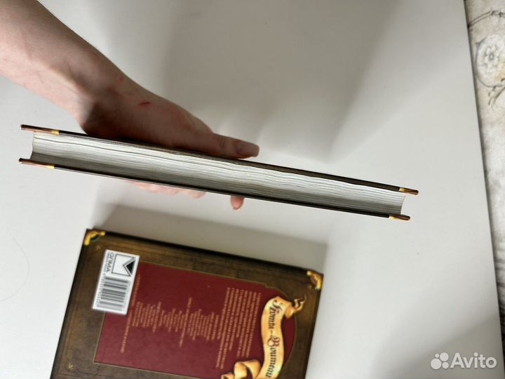 Книга Коты-Воители