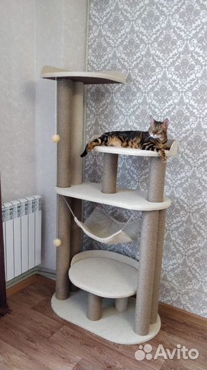 Комплекс для кошек