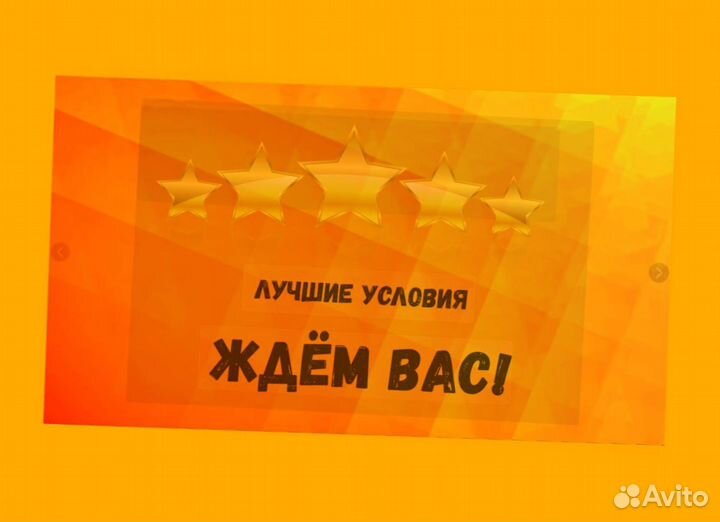 Сортировщик Еженедельный аванс Спецодежда М/Ж