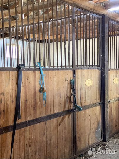 Выездной мастер класс