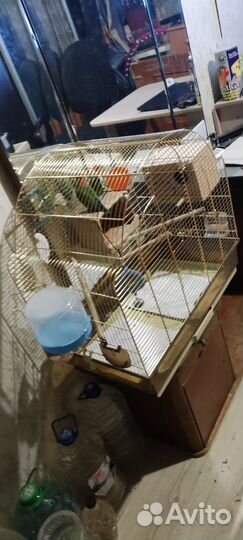 Клетка для попугая