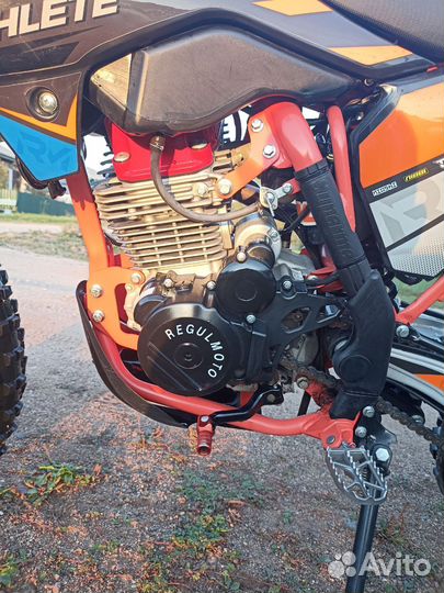 Регульмото атлет про