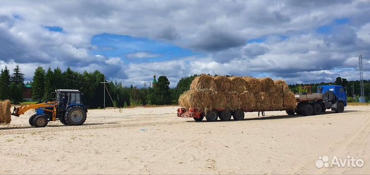 Сено свежескошенное 2023г в рулонах