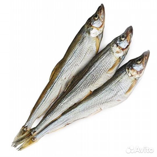 Корюшка зубарь вяленая