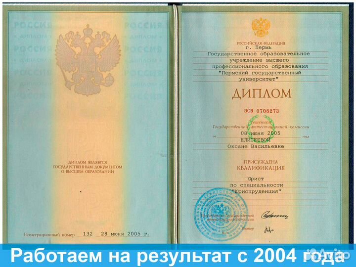 Юрист споры с госорганами, судебный юрист, адвокат