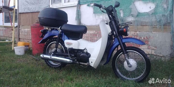 Suzuki birdie