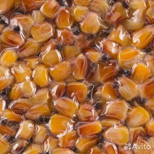 Кукуруза с бетаином рыболовная