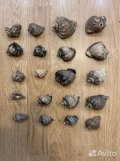 Все для аквариума