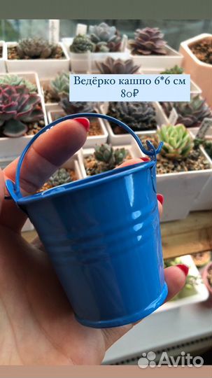 Кашпо для суккулентов, подарок