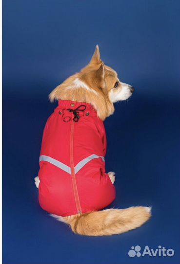 Комбинезон для собак (Корги) размер М