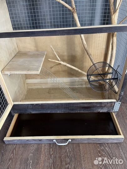 Клетка Витрина