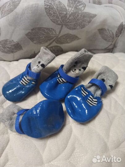 Одежда для собачки