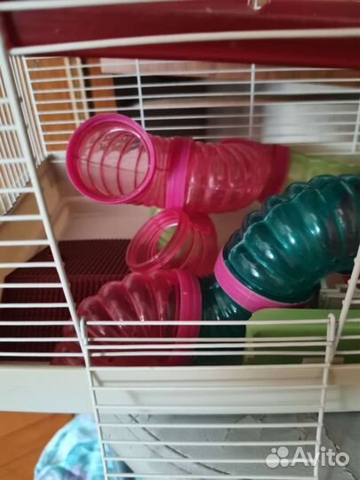 Клетка для грызунов с лабиринтом