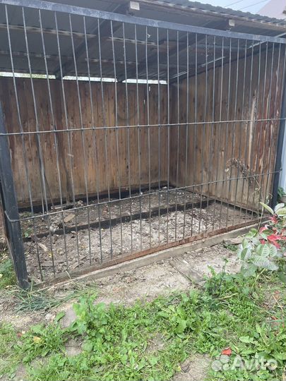 Вольер для собак