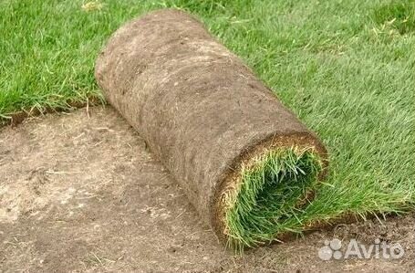 Газон рулонный гарантия