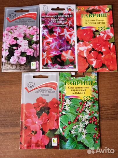 Семена комнатных растений