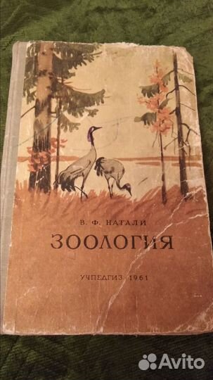 Антикварная книга 