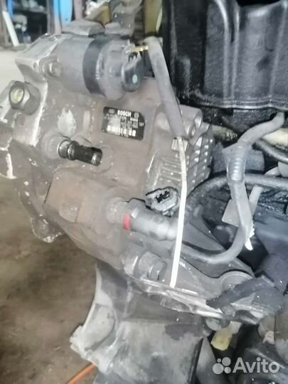 Топливный насос тнвд f9q 1.9
