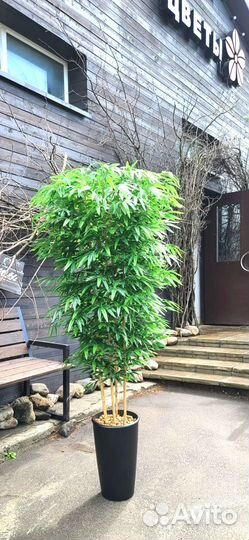 Искусственный Бамбук