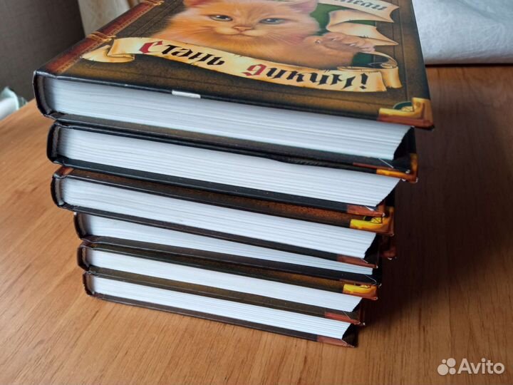 Коты воители первый цикл